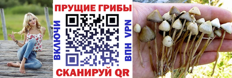 Галлюциногенные грибы MAGIC MUSHROOMS  Берёзовка 